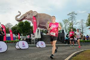 BIB: 
                            <button type="button" onclick="openModal(26529035)" class="btn btn-primary btn-sm float-right btn-popup" data-toggle="modal" data-target=".modal-high-quality">
                        <i class="fas fa-shopping-cart"></i> Add to Cart
                    </button>
                                            <button type="button" onclick="isThisMe(26529035, true)" class="btn btn-success btn-sm float-right btn-popup btn-isme hidden" data-toggle="tooltip" data-placement="bottom" title="นี่คือรูปของคุณใช่ไหม คลิกที่นี่เพื่อเอาเข้าอัลบั้ม">
                        <i class="fas fa-plus"></i> Add to album
                    </button>
                    <button type="button" onclick="isThisMe(26529035, false)" class="btn btn-warning btn-sm float-right btn-popup btn-isnotme hidden">
                        <i class="fas fa-ban"></i> Remove from album
                    </button>